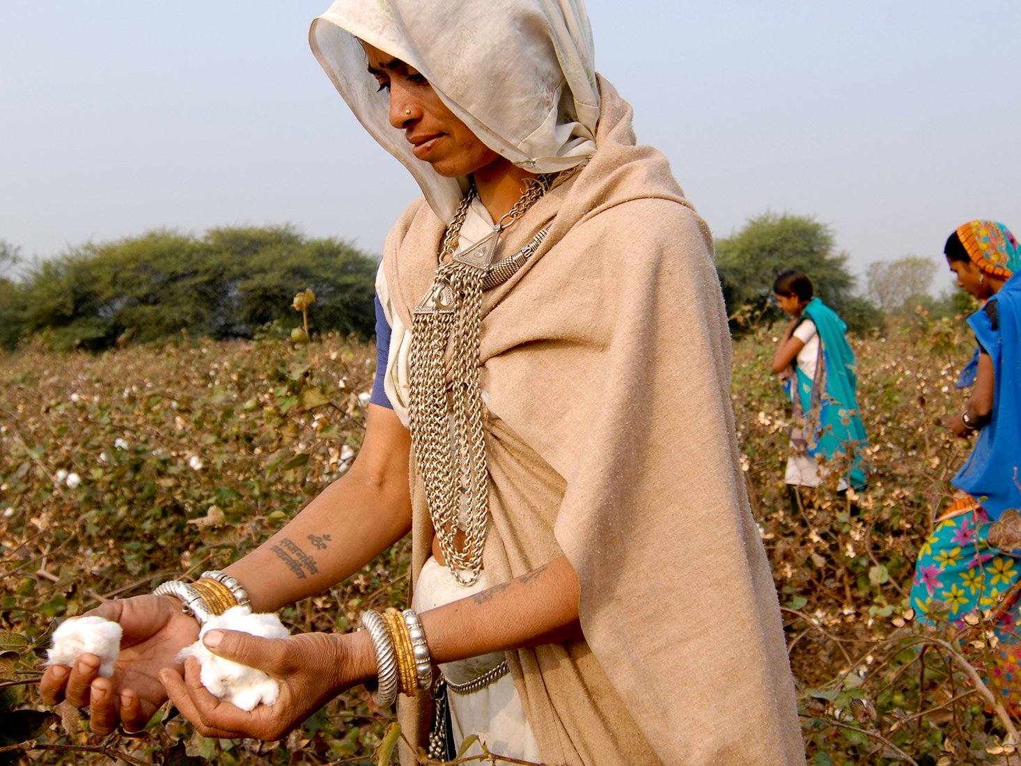 Where does our organic cotton come from?