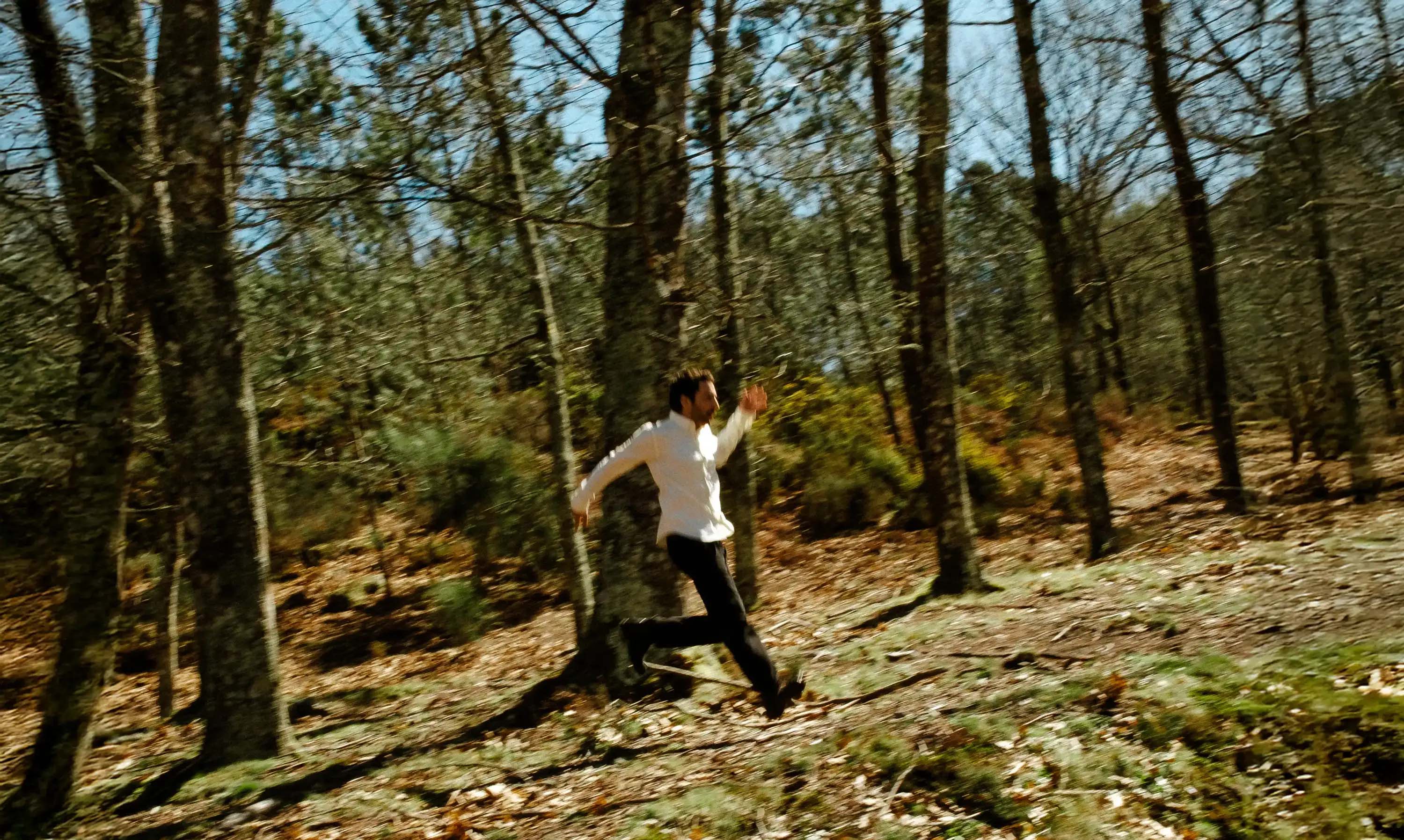 AW25 – Wandering forests - CARPASUS Online Store