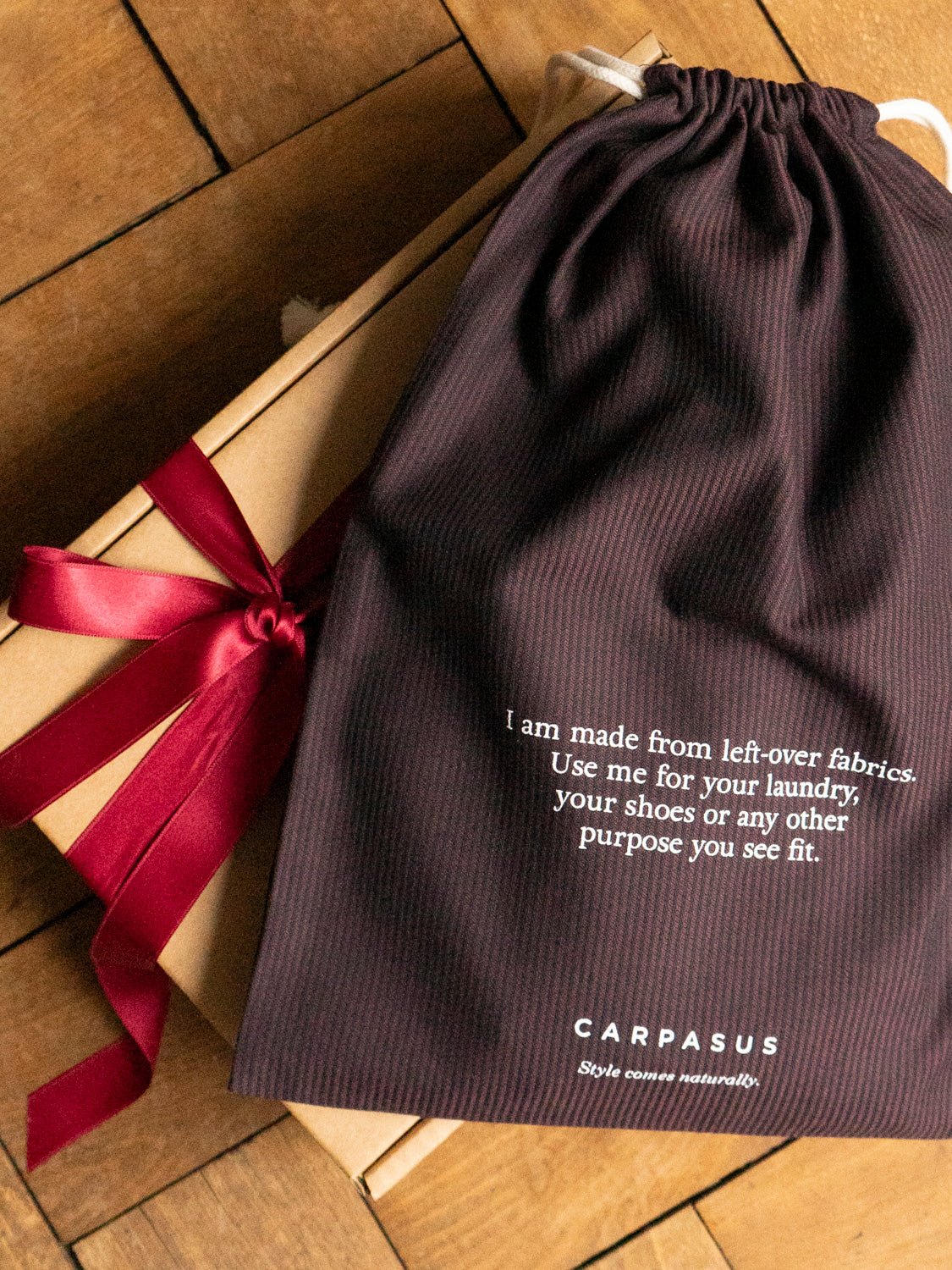 CARPASUS Laundry Bag