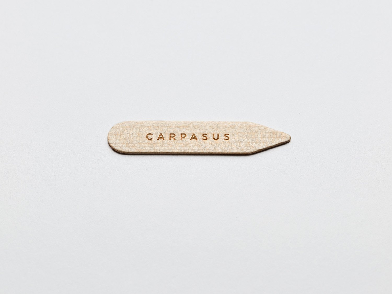 carpasus collar stays made of certified maple wood. Carpasus Kragenstaebchen aus zertifiziertem Ahorn Holz