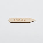 carpasus collar stays made of certified maple wood. Carpasus Kragenstaebchen aus zertifiziertem Ahorn Holz